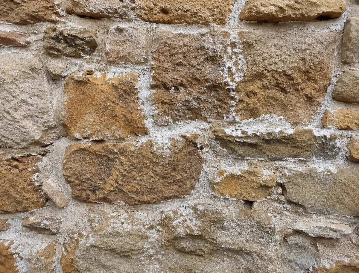 Salpêtre et remontées capillaires : observation d'un mur ancien
